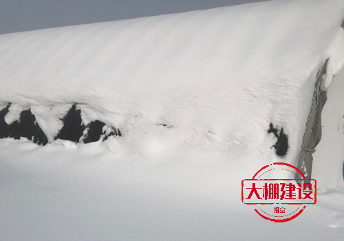 大雪對溫室大棚影響危害怎么處理